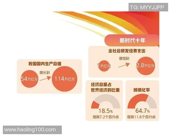 深入探讨北京排球队比赛经验与表现的关系及其对未来发展的影响分析