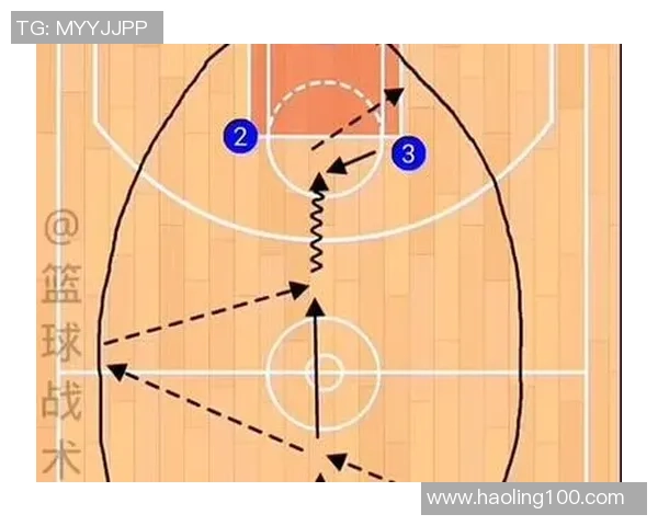 成都排球队快攻战术解析与训练心得深度剖析