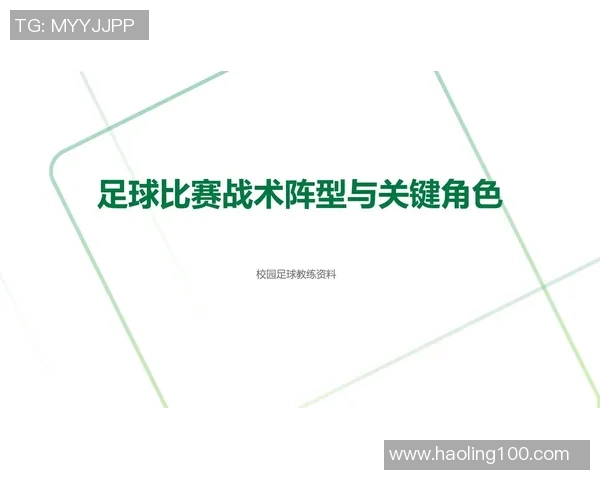 杭州足球队的转换体系解析与战术创新探讨 杭州足球队的转换体系解析与战术创新探讨
