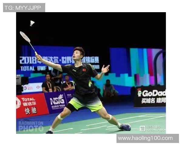 重庆羽毛球队总决赛战术分析与表现评估全面解读