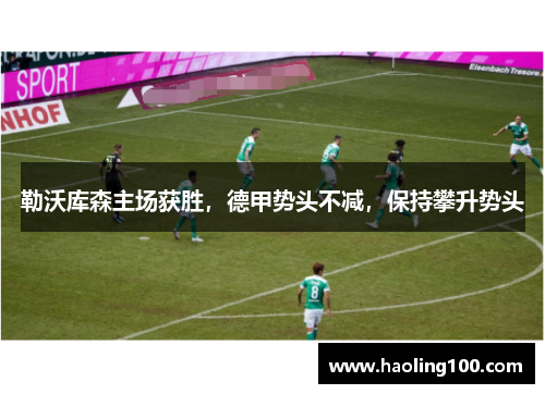 勒沃库森主场获胜，德甲势头不减，保持攀升势头